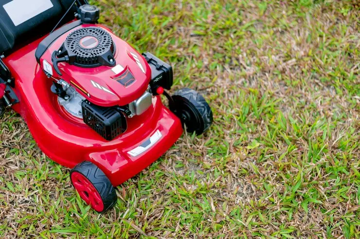 tondeuse 2
